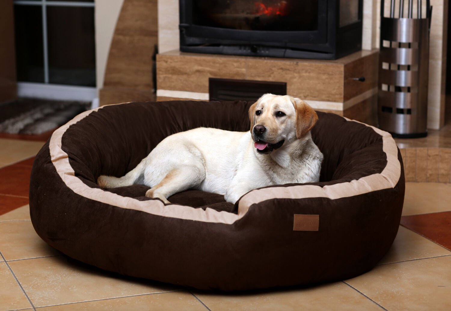 The Ultimate Guide to Choosing the Perfect Pet Bed - Furry Buddy