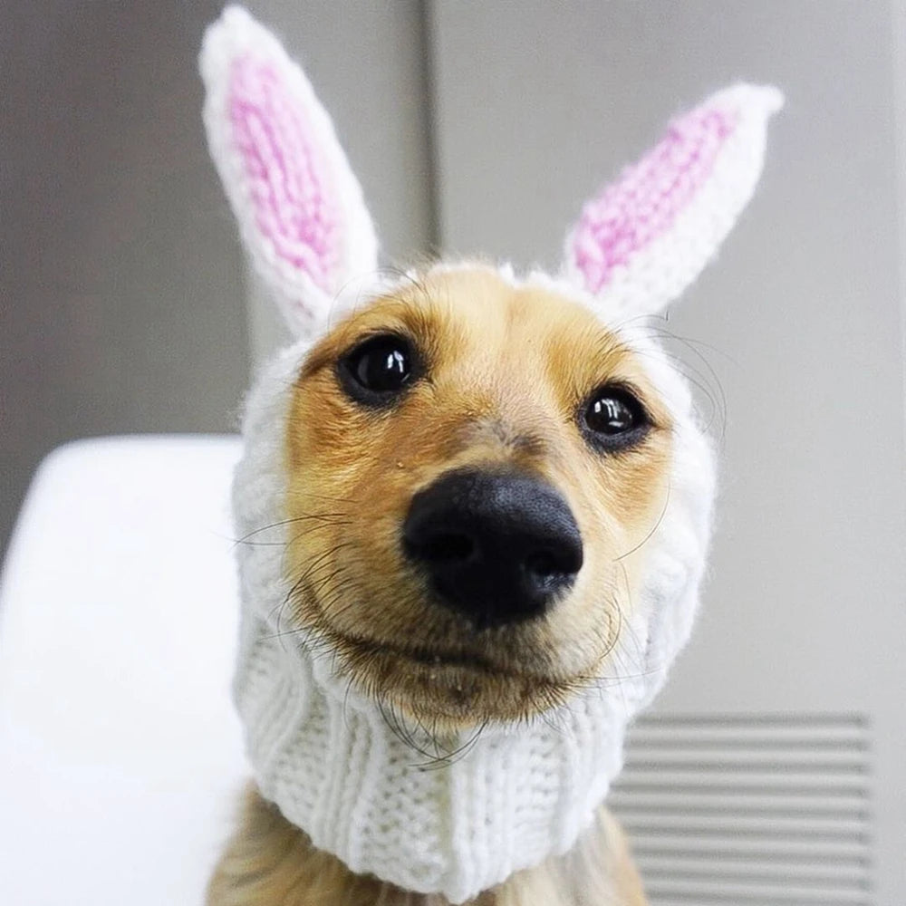 Knitted Hat Winter Warm Puppy Cap Fashion Rabbit Ear Design Beanie for Cute Pet Dog Cat Puppy Animal Christmas Hat Knitted Hats