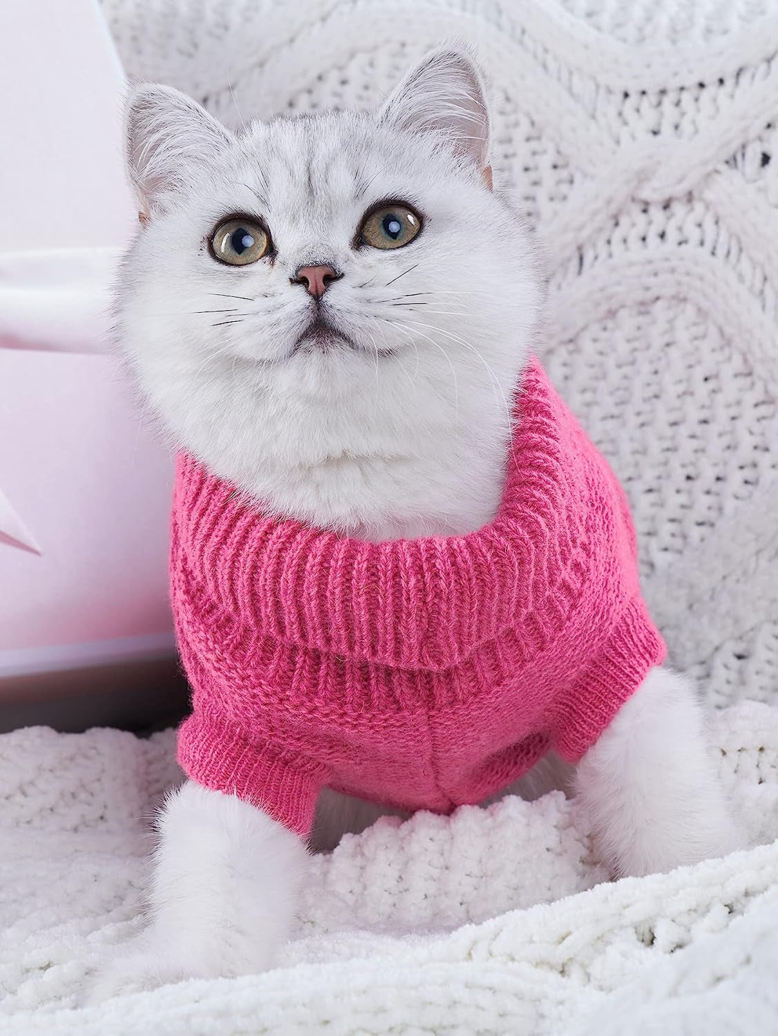 Cozy Turtleneck Cat Sweater - Warm Knitted Apparel for XXS Cats - Stylish and Comfortable Design for Your Feline Friend