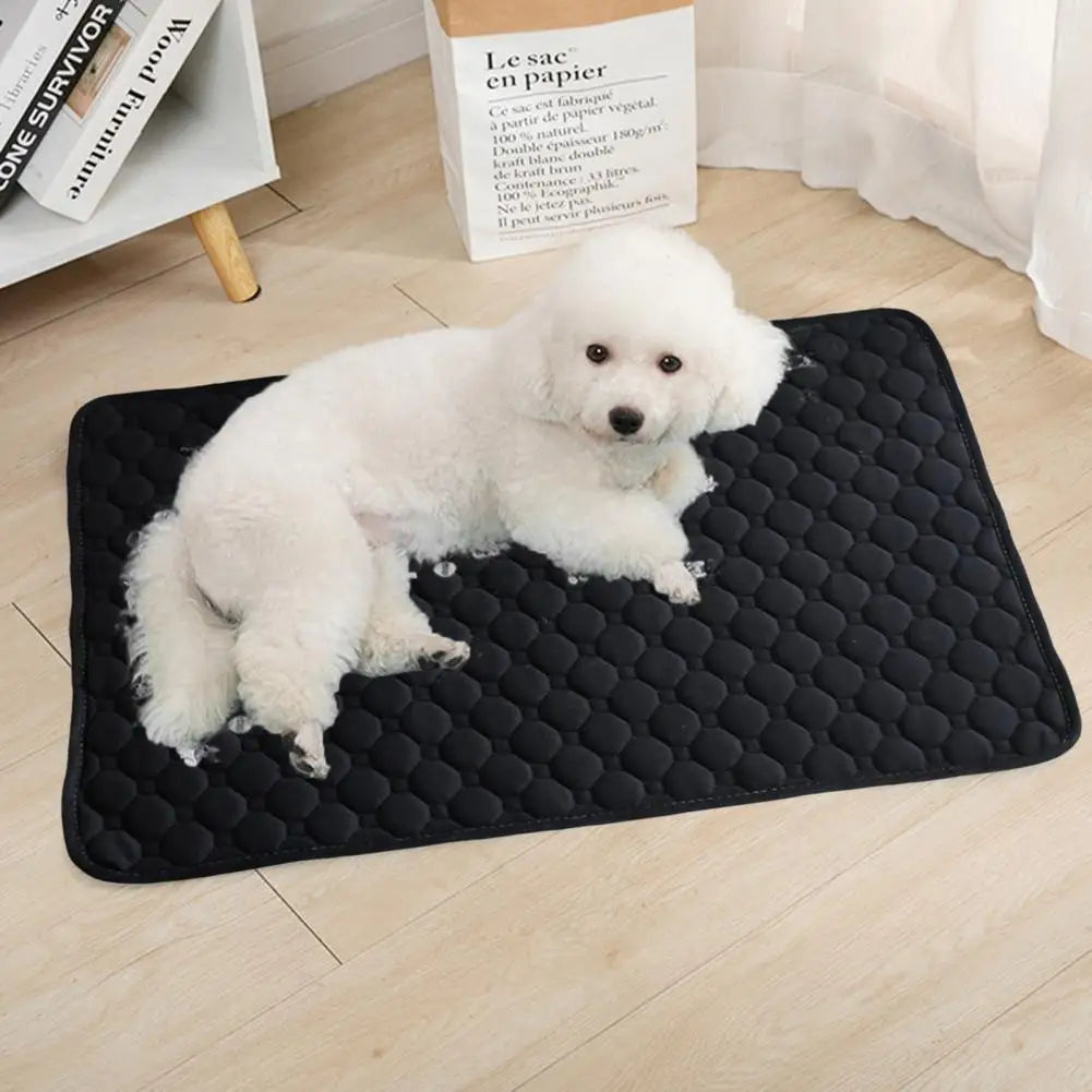 Car Travel Pet Pad Reusable Washable Pet Training Pads for Dogs Super Absorbent Pee Mat with Non-slip Grip Portable for Small