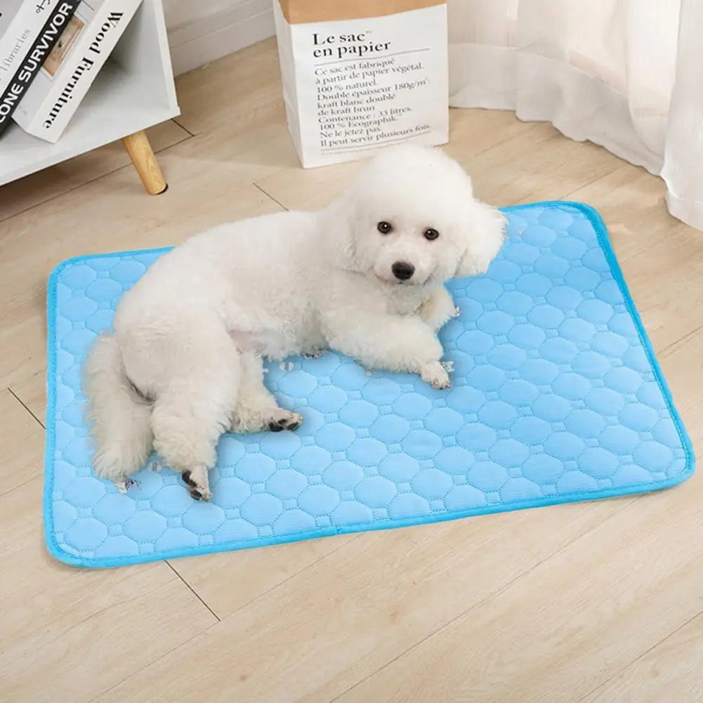 Car Travel Pet Pad Reusable Washable Pet Training Pads for Dogs Super Absorbent Pee Mat with Non-slip Grip Portable for Small