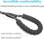 Durable Slip Lead Dog Leash with Padded Handle and Highly Reflective Threads, No Pull Dog Training Leash, (3/8" X 6 FT, Black) by Furry Buddy | Best Price Online