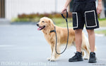 Durable Slip Lead Dog Leash with Padded Handle and Highly Reflective Threads, No Pull Dog Training Leash, (3/8" X 6 FT, Black) by Furry Buddy | Best Price Online