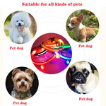 LED Adjustable Dog Collar Blinking Flashing Light up Glow Pets Safety Waterproof by Furry Buddy | Best Price Online