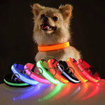 LED Adjustable Dog Collar Blinking Flashing Light up Glow Pets Safety Waterproof by Furry Buddy | Best Price Online
