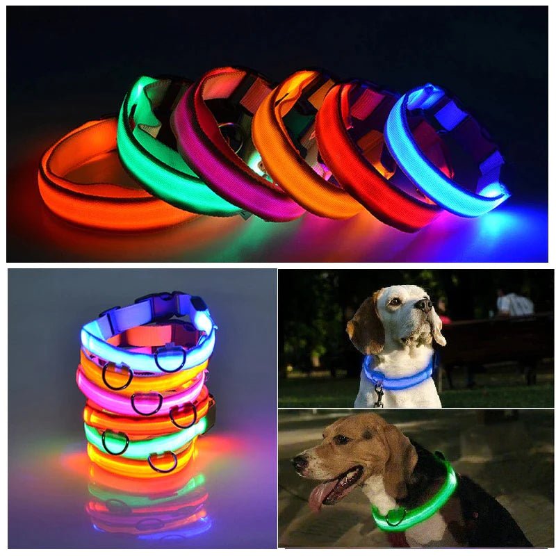 LED Adjustable Dog Collar Blinking Flashing Light up Glow Pets Safety Waterproof by Furry Buddy | Best Price Online