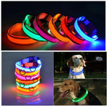 LED Adjustable Dog Collar Blinking Flashing Light up Glow Pets Safety Waterproof by Furry Buddy | Best Price Online