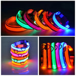 LED Adjustable Dog Collar Blinking Flashing Light up Glow Pets Safety Waterproof by Furry Buddy | Best Price Online