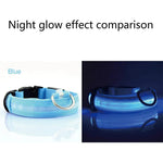 LED Adjustable Dog Collar Blinking Flashing Light up Glow Pets Safety Waterproof by Furry Buddy | Best Price Online