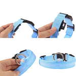 LED Adjustable Dog Collar Blinking Flashing Light up Glow Pets Safety Waterproof by Furry Buddy | Best Price Online