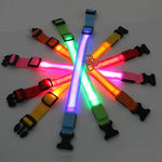 LED Adjustable Dog Collar Blinking Flashing Light up Glow Pets Safety Waterproof by Furry Buddy | Best Price Online