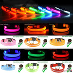 LED Adjustable Dog Collar Blinking Flashing Light up Glow Pets Safety Waterproof by Furry Buddy | Best Price Online
