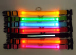 LED Adjustable Dog Collar Blinking Flashing Light up Glow Pets Safety Waterproof by Furry Buddy | Best Price Online