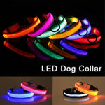 LED Adjustable Dog Collar Blinking Flashing Light up Glow Pets Safety Waterproof by Furry Buddy | Best Price Online
