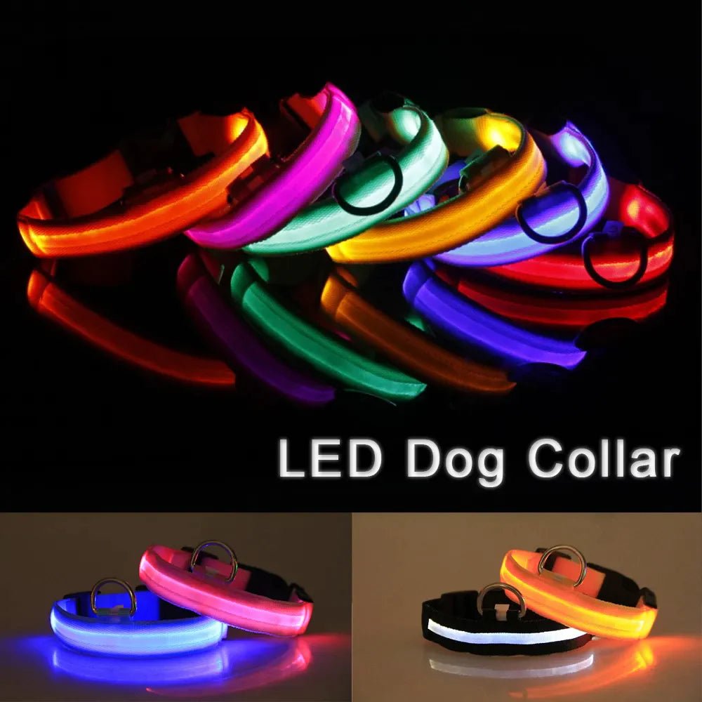 LED Adjustable Dog Collar Blinking Flashing Light up Glow Pets Safety Waterproof by Furry Buddy | Best Price Online