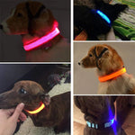 LED Adjustable Dog Collar Blinking Flashing Light up Glow Pets Safety Waterproof by Furry Buddy | Best Price Online