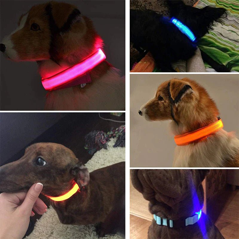 LED Adjustable Dog Collar Blinking Flashing Light up Glow Pets Safety Waterproof by Furry Buddy | Best Price Online