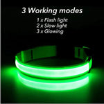 LED Adjustable Dog Collar Blinking Flashing Light up Glow Pets Safety Waterproof by Furry Buddy | Best Price Online
