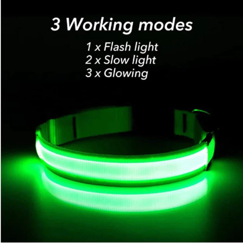 LED Adjustable Dog Collar Blinking Flashing Light up Glow Pets Safety Waterproof by Furry Buddy | Best Price Online