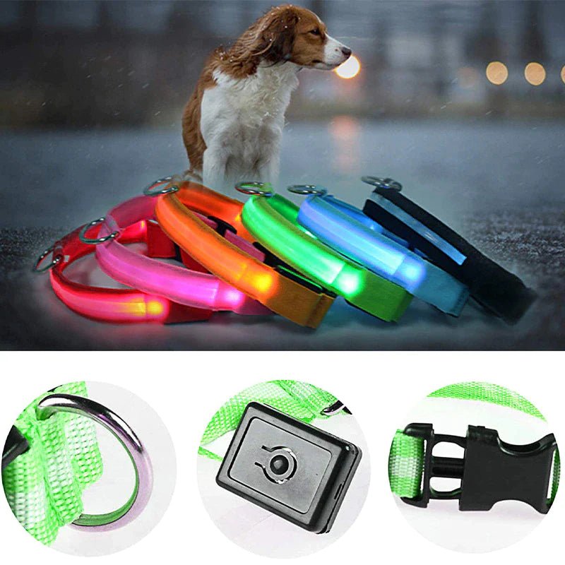 LED Adjustable Dog Collar Blinking Flashing Light up Glow Pets Safety Waterproof by Furry Buddy | Best Price Online