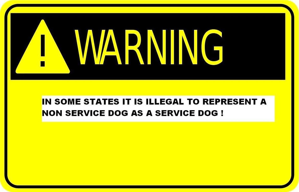 Reflective Service Dog in Training Patches with Hook Backing for Service Animal Vests /Harnesses Large (6 X 2) Inch by Furry Buddy | Best Price Online
