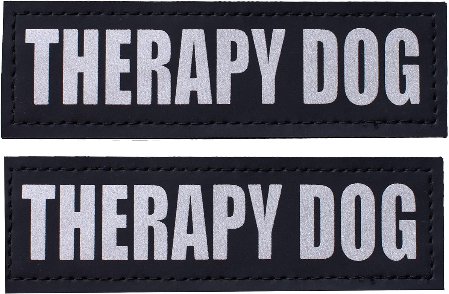 Reflective Service Dog in Training Patches with Hook Backing for Service Animal Vests /Harnesses Large (6 X 2) Inch by Furry Buddy | Best Price Online