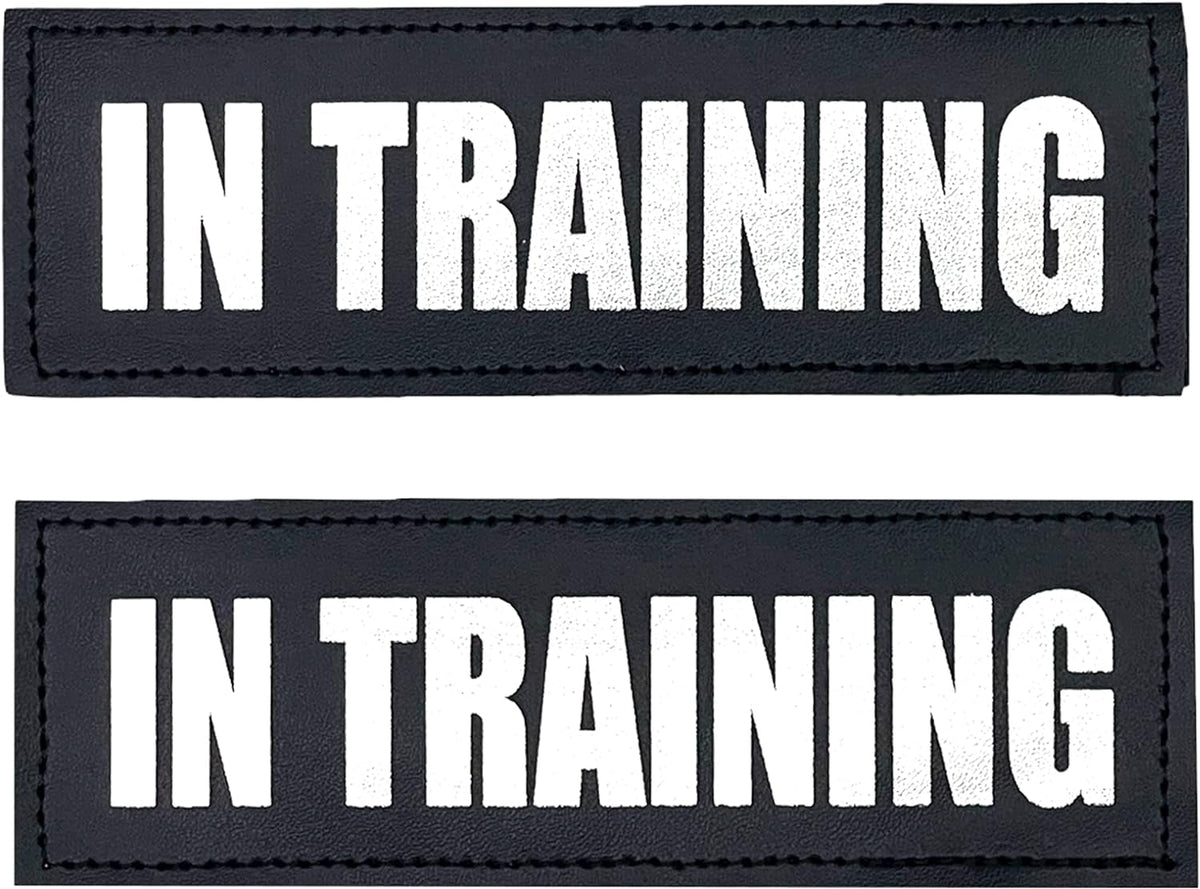 Reflective Service Dog in Training Patches with Hook Backing for Service Animal Vests /Harnesses Large (6 X 2) Inch by Furry Buddy | Best Price Online