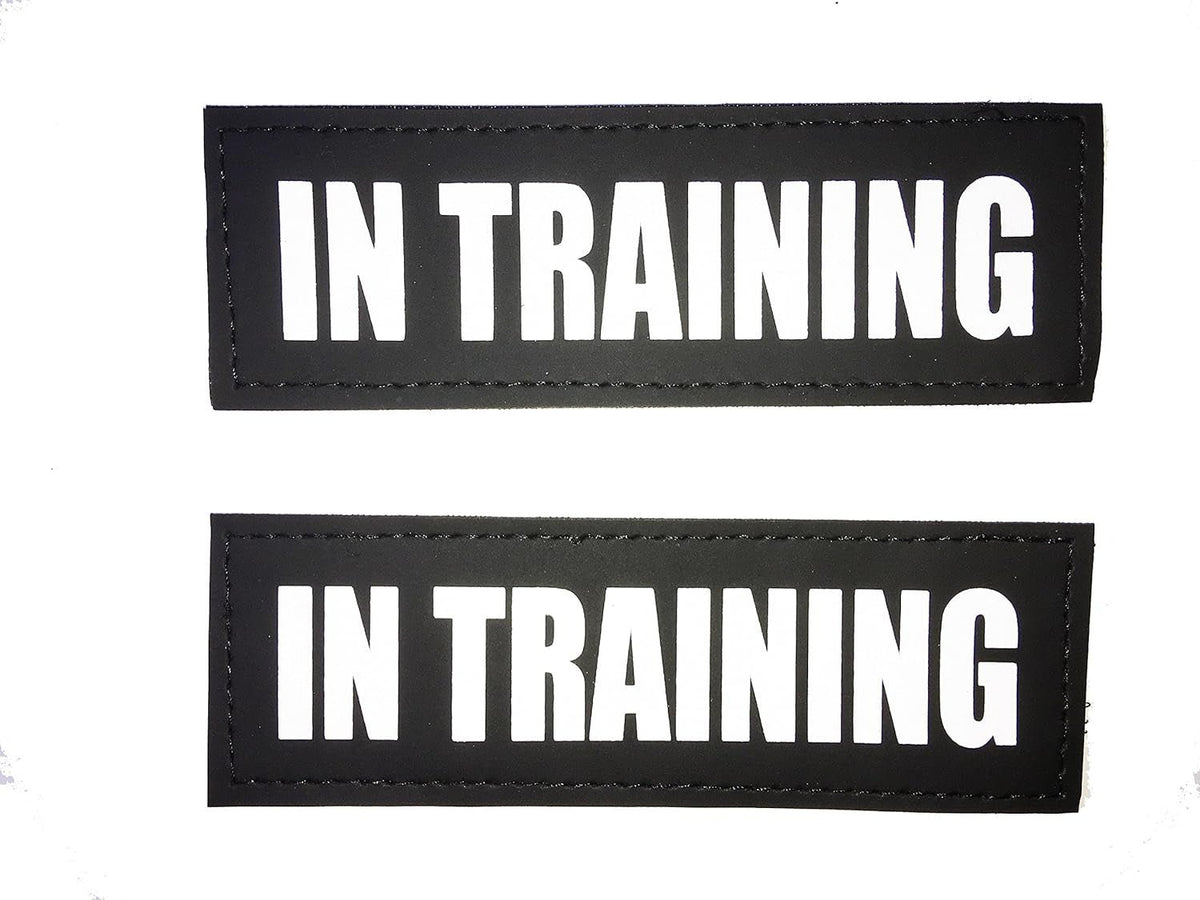 Reflective Service Dog in Training Patches with Hook Backing for Service Animal Vests /Harnesses Large (6 X 2) Inch by Furry Buddy | Best Price Online