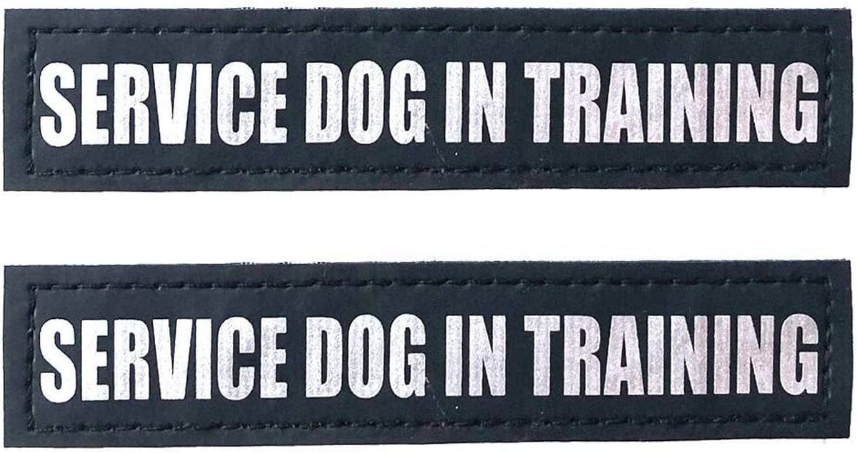 Reflective Service Dog in Training Patches with Hook Backing for Service Animal Vests /Harnesses Large (6 X 2) Inch by Furry Buddy | Best Price Online