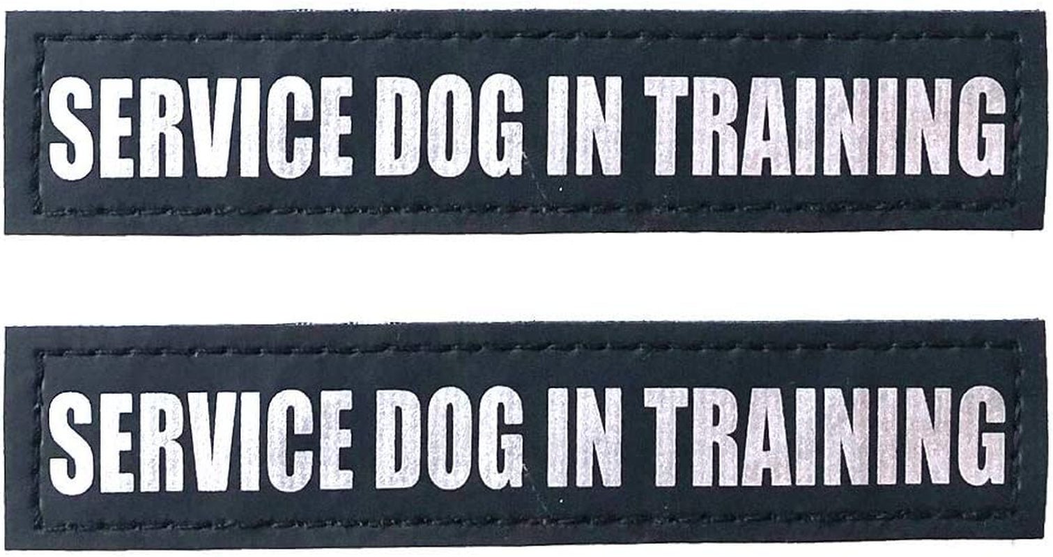 Reflective Service Dog in Training Patches with Hook Backing for Service Animal Vests /Harnesses Large (6 X 2) Inch by Furry Buddy | Best Price Online
