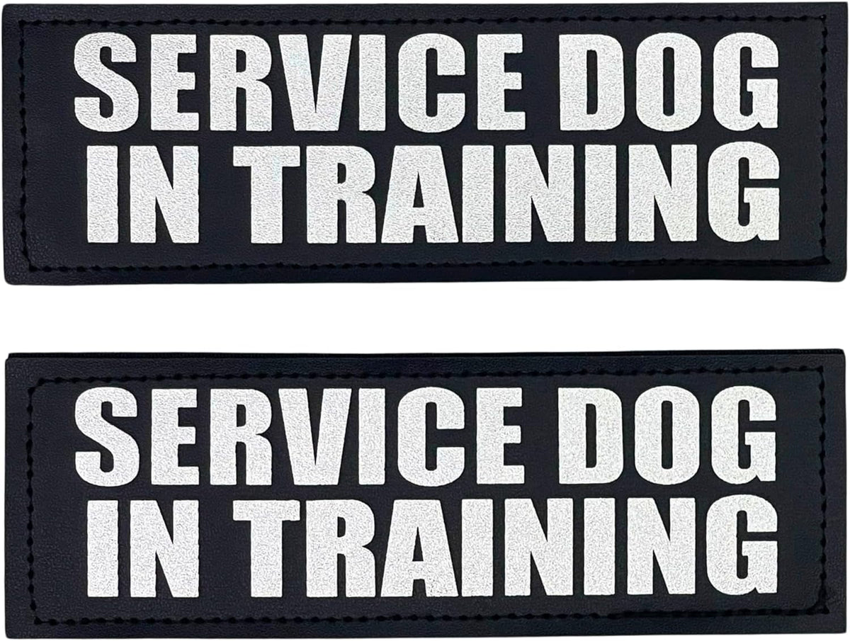 Reflective Service Dog in Training Patches with Hook Backing for Service Animal Vests /Harnesses Large (6 X 2) Inch by Furry Buddy | Best Price Online